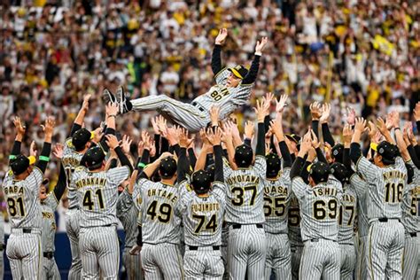 NPB Betting Sites: A Comprehensive Guide to Japanese Baseball.